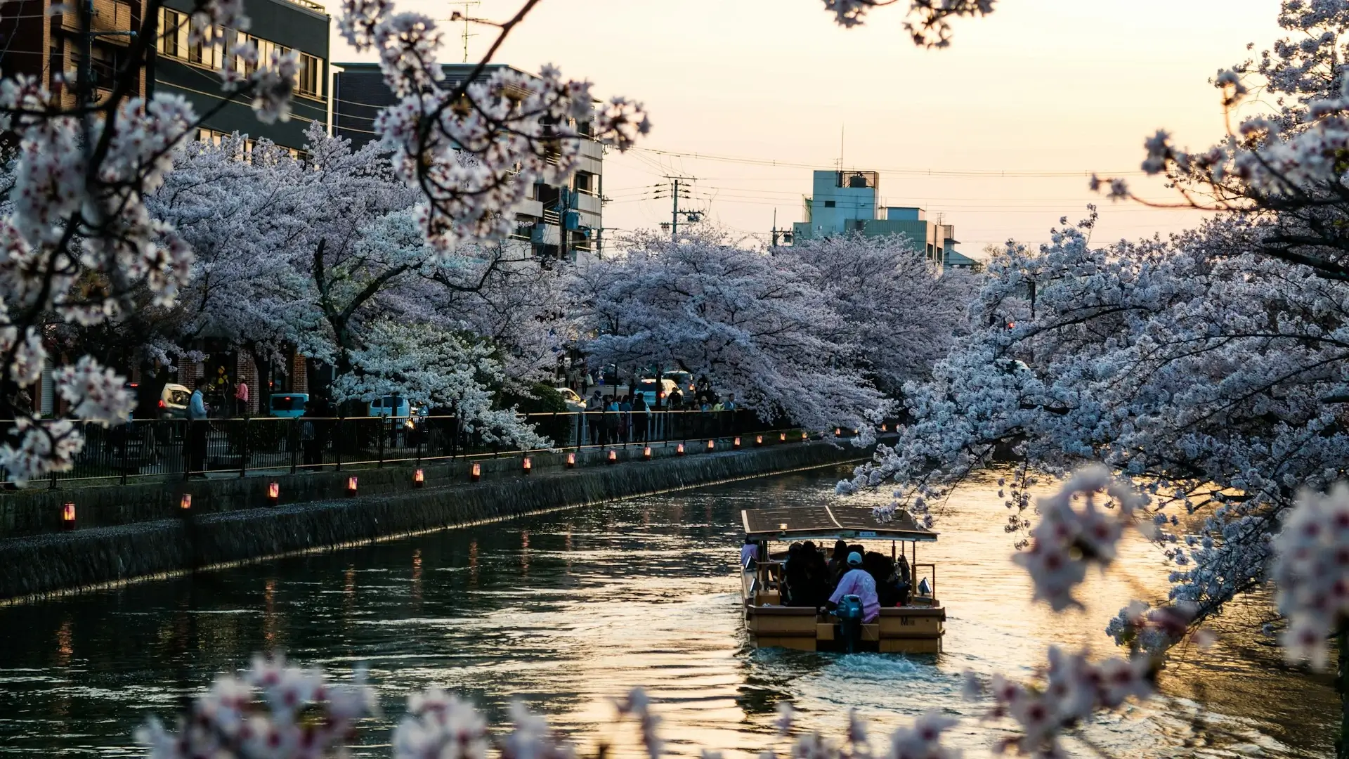 business-class-flights-to-kyoto-japan