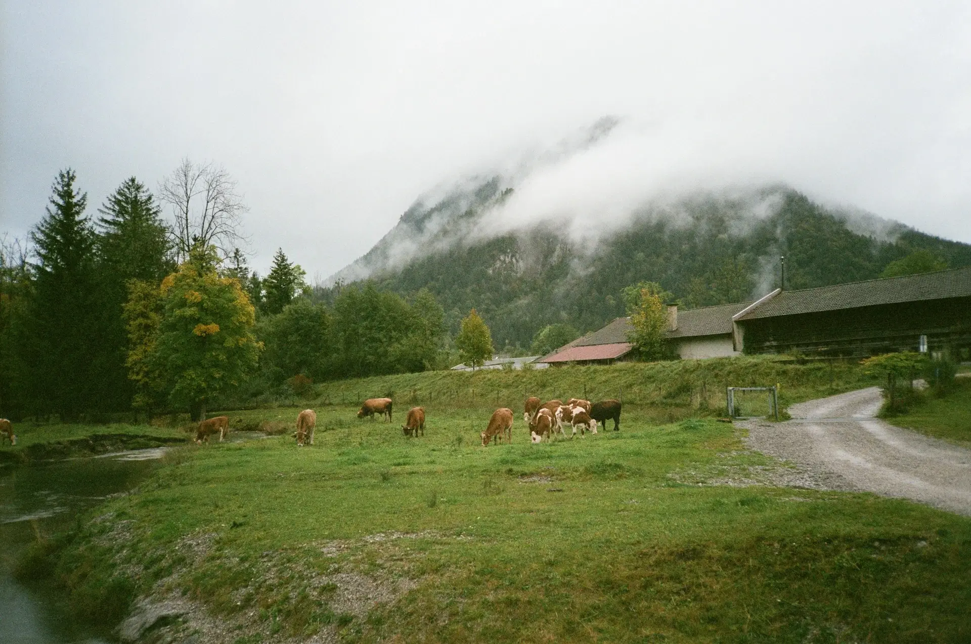 winter_vacation_bavarian_alps_germany_2024